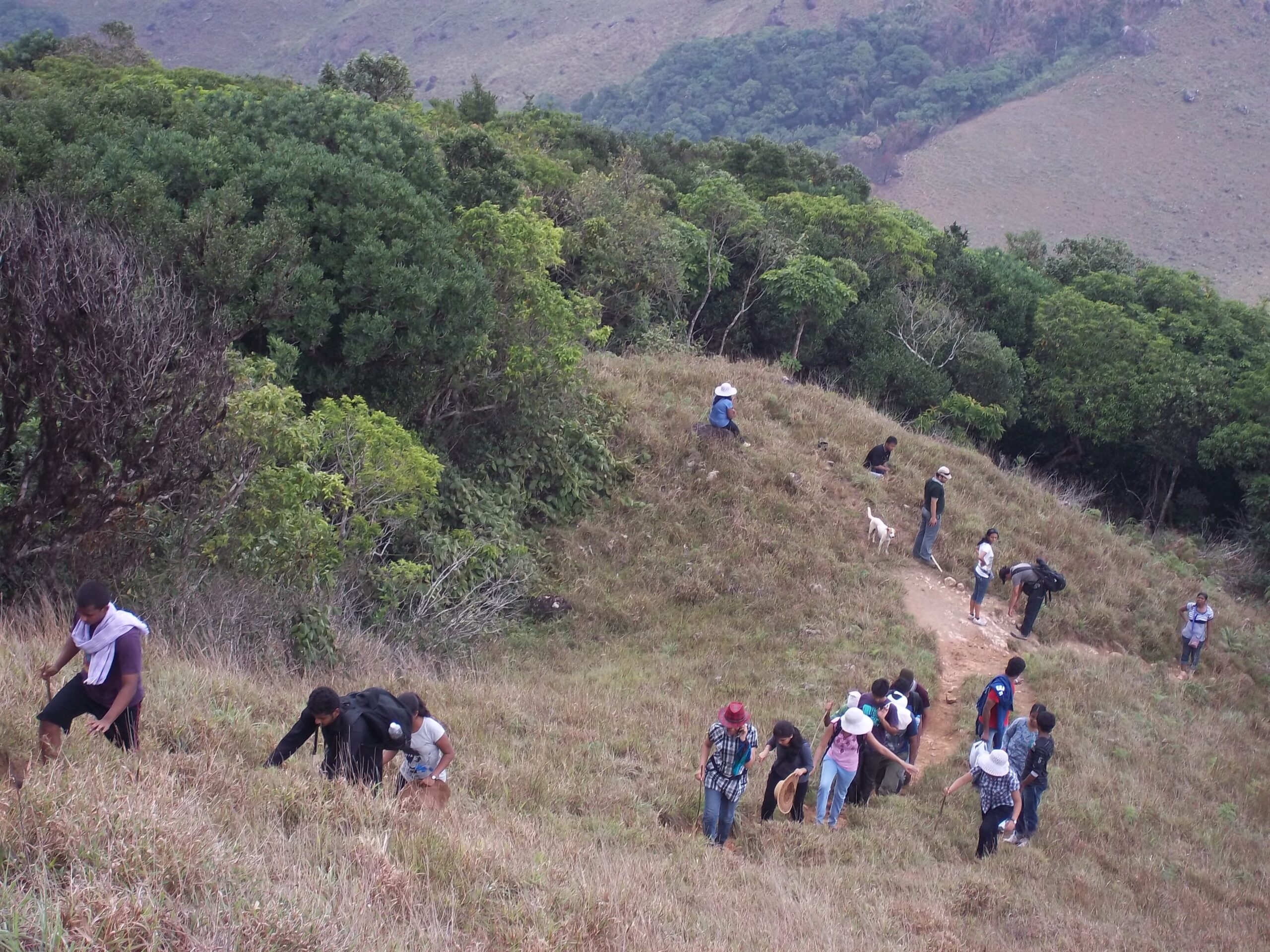 Hiking up and down