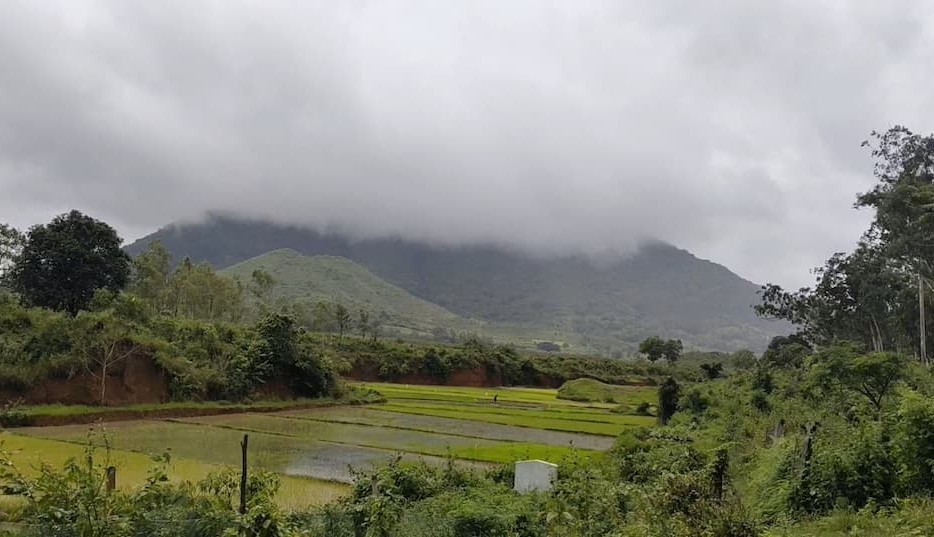 Misty coffee-forested hiking trail winding through Ananthagiri Hills in the Eastern Ghats near Araku Valley