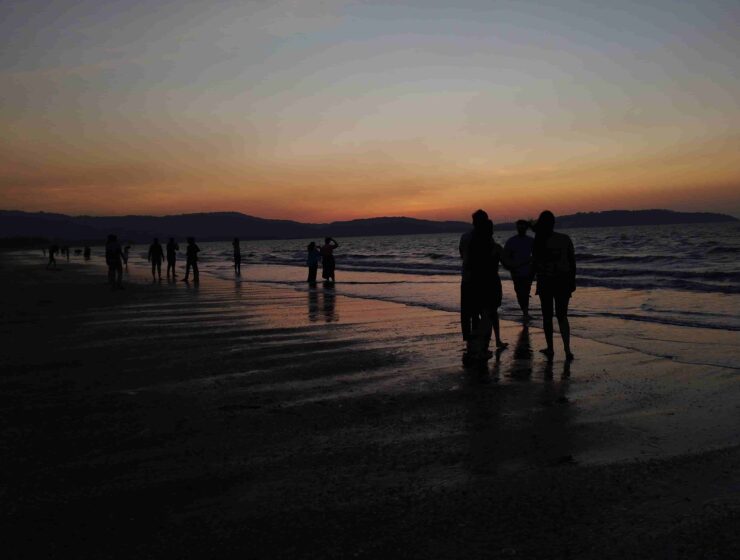 virsafeed-travelandtrekking6