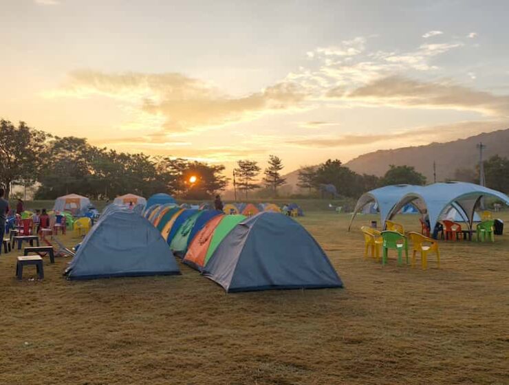 Tent pitched amidst dense green jungle with campfire glowing at dusk