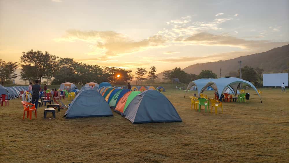 Tent pitched amidst dense green jungle with campfire glowing at dusk